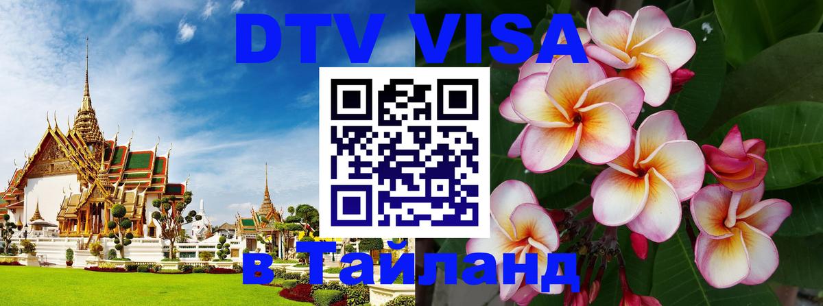 Оформление DTV визы под ключ: стоимость и тарифы, только загранпаспорт - 20.11.2025 